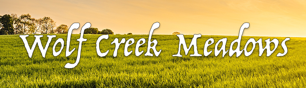 Wolf Creek Meadows HOA